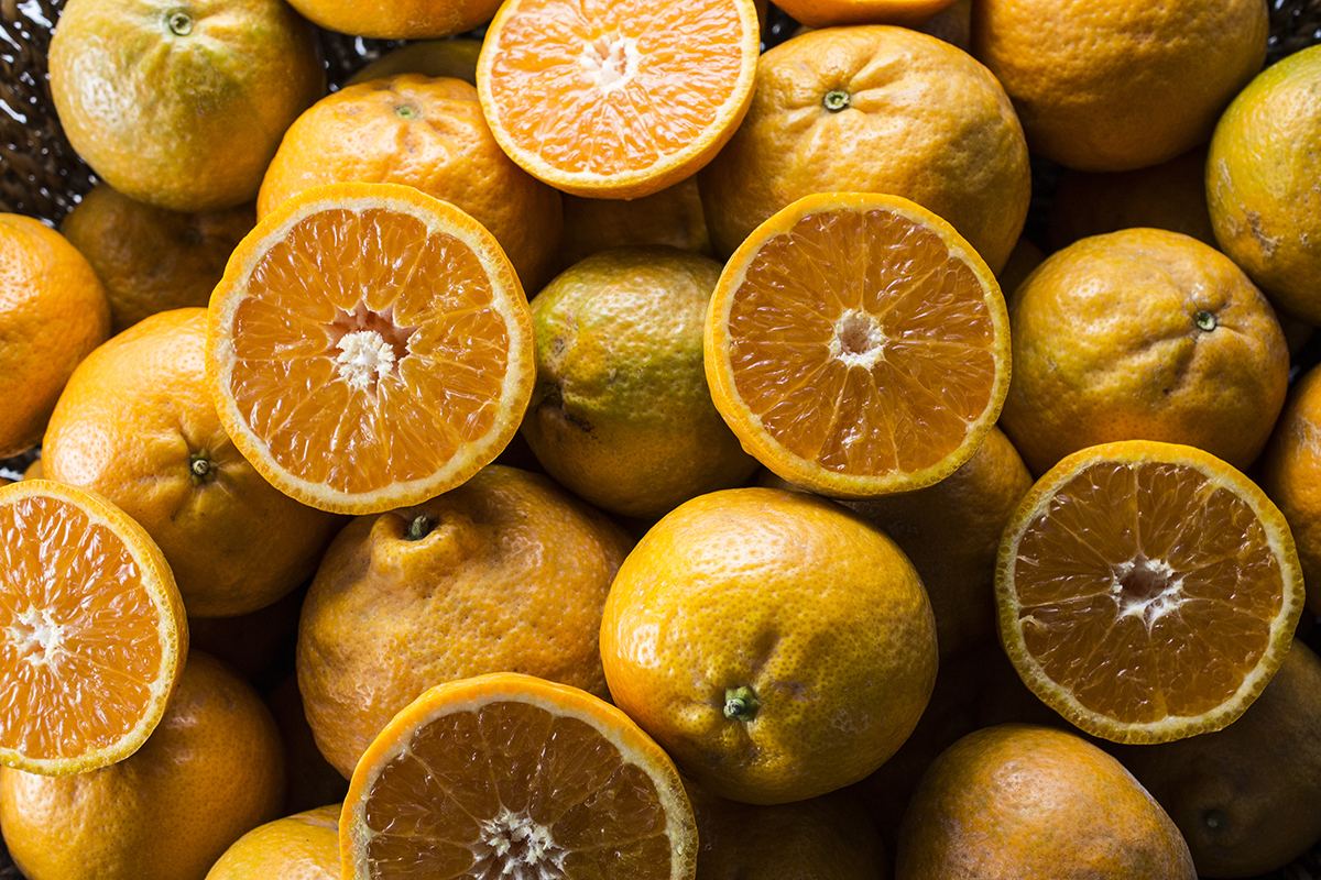 Ojai Pixies Build on 25% Growth as Late-Season Citrus Window Opens - Produce Market Guide