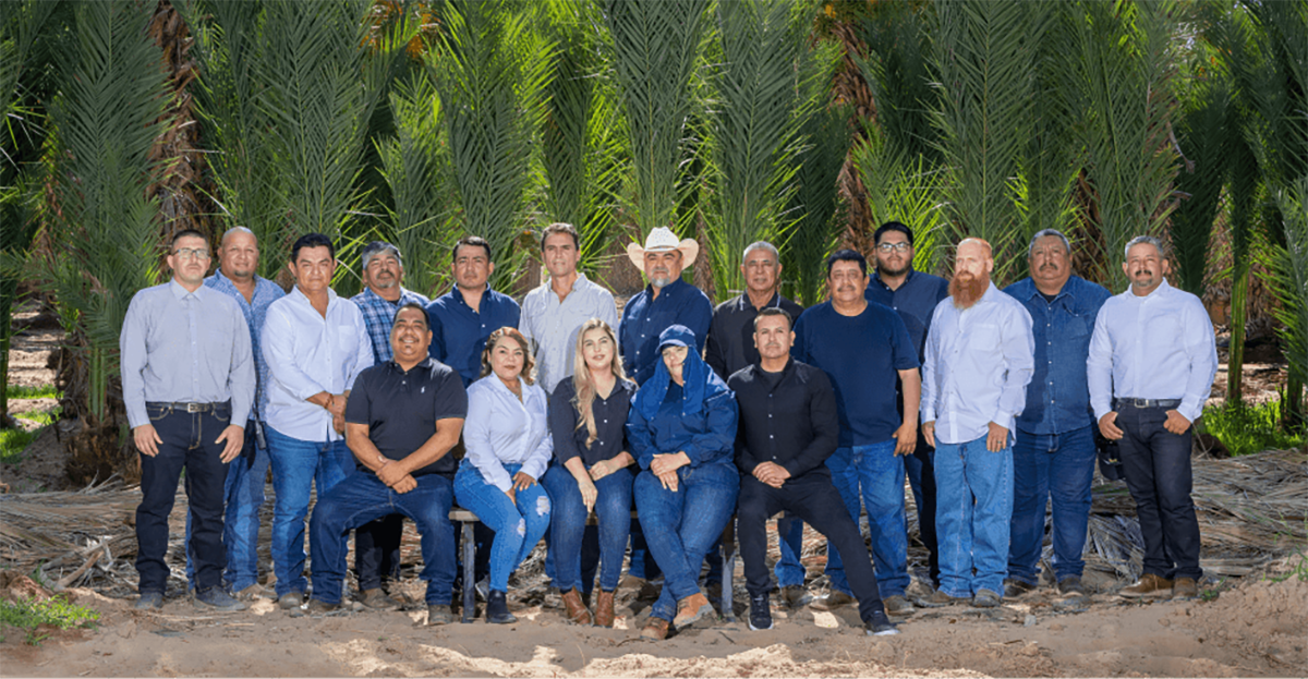 Inside Oasis Dates’ Field-to-Shelf Innovation and Sustainability Strategy - Produce Market Guide