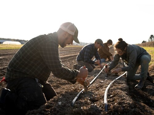 Natural Grocers and Rodale Institute Celebrate Earth Month With Annual Ladybug Love Campaign - Produce Market Guide