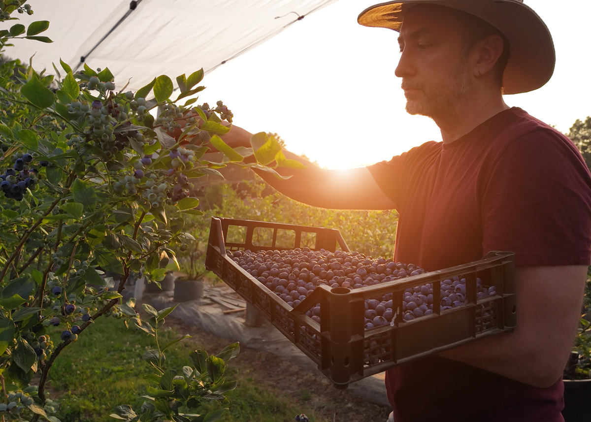 Soaring Operating Costs Threaten Survival of Specialty Crop Growers - Produce Market Guide