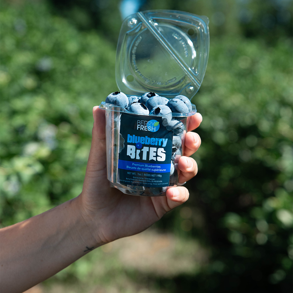 Berry Fresh Unveils Blueberry Snack Cup