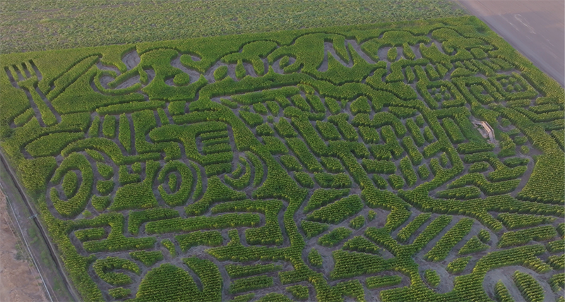 SaveMarteditScreen Shot 2025-10-03 at 6.22.55 AM.png