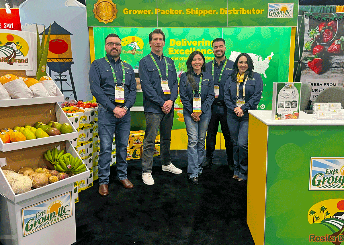 SEPC-SE-2026-EXP-Group