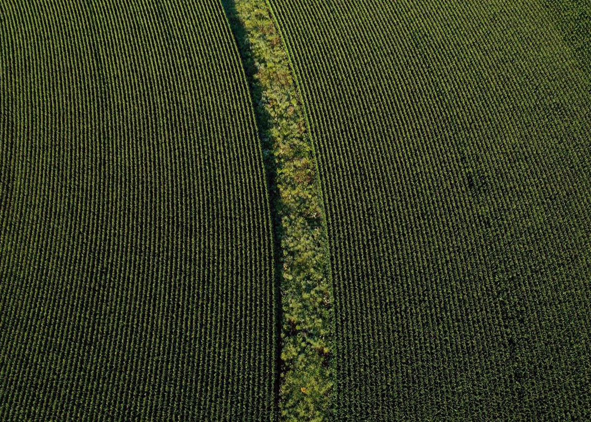 Whole Foods and Mad Agriculture Launch ‘Biodiversity Highway’