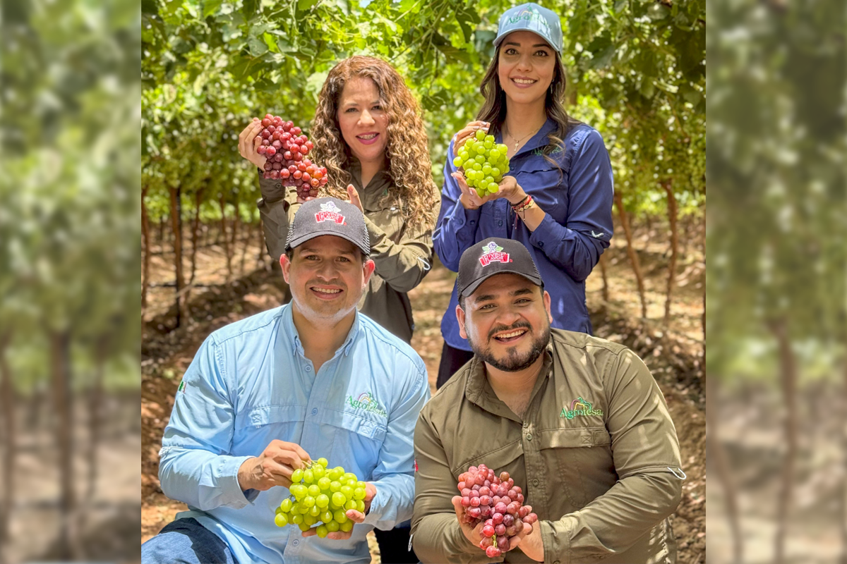 Divine Flavor Delivers Grapes From Around the Globe