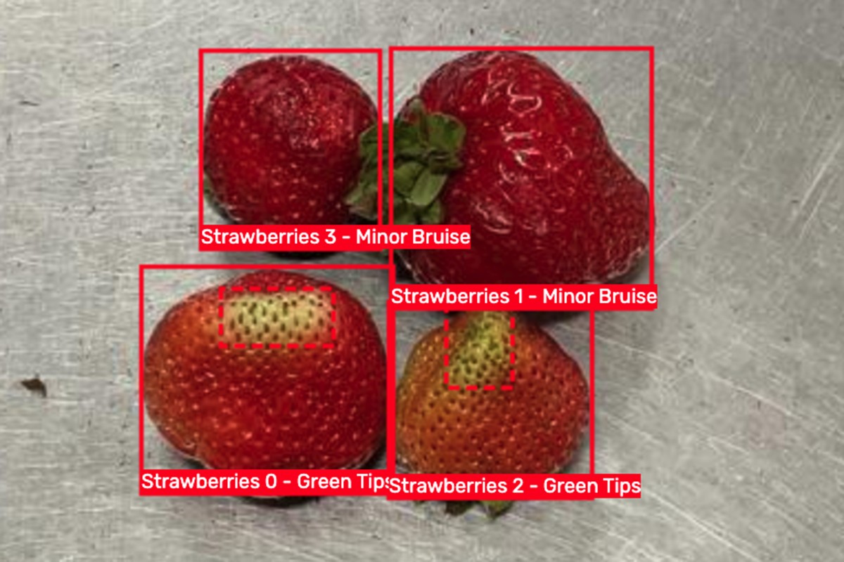 For a highly perishable product like strawberries, speed and consistency in quality decisions can have a significant impact on profitability, product utilization and customer satisfaction.