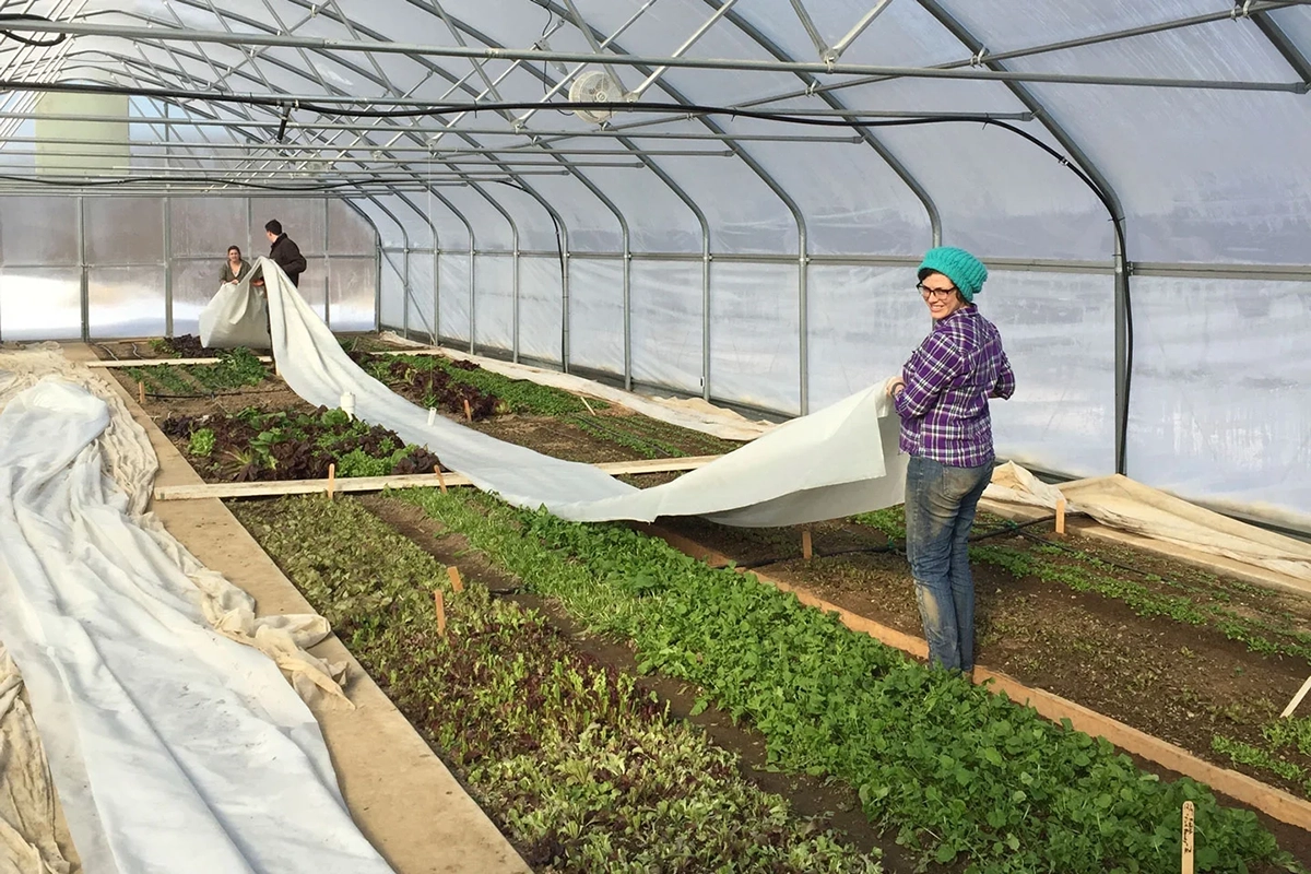 Fixing the Food System: Lessons From Chatham’s Living Laboratories - Produce Market Guide
