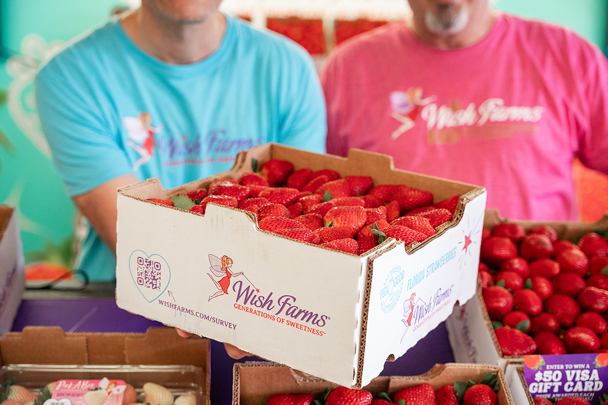 Wish Farms Highlights Berry Quality, Consumer Demand at 2026 Florida Strawberry Festival - Produce Market Guide