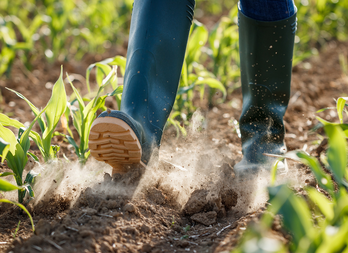 Helios AI Raises $4.7M, Launches AI Co-Pilot for Food Supply Chains