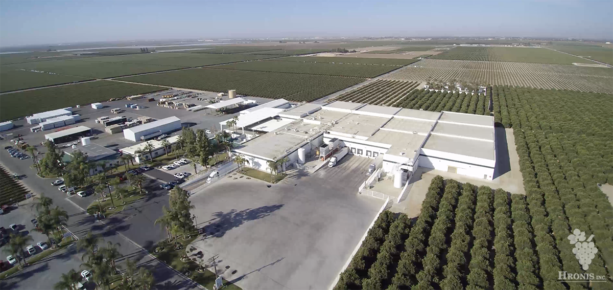 With $54M in Fresh Capital, Hronis Navigates Bankruptcy to Meet Early Table Grape Demand - Produce Market Guide