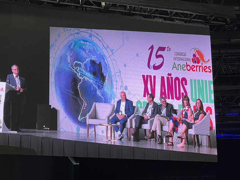 Aneberries 2025 session