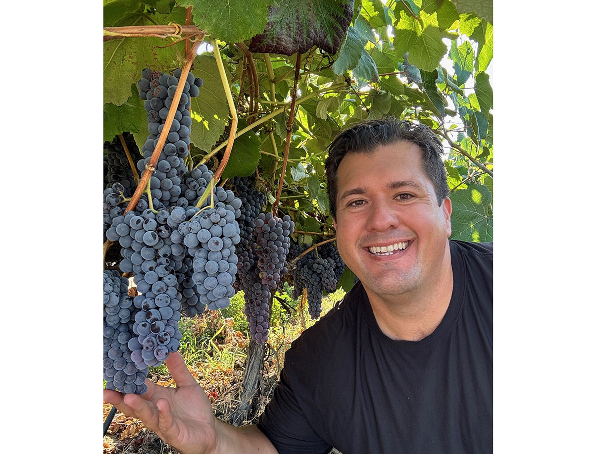 As California Table Grapes See Early Color, Sugars Race to Catch
