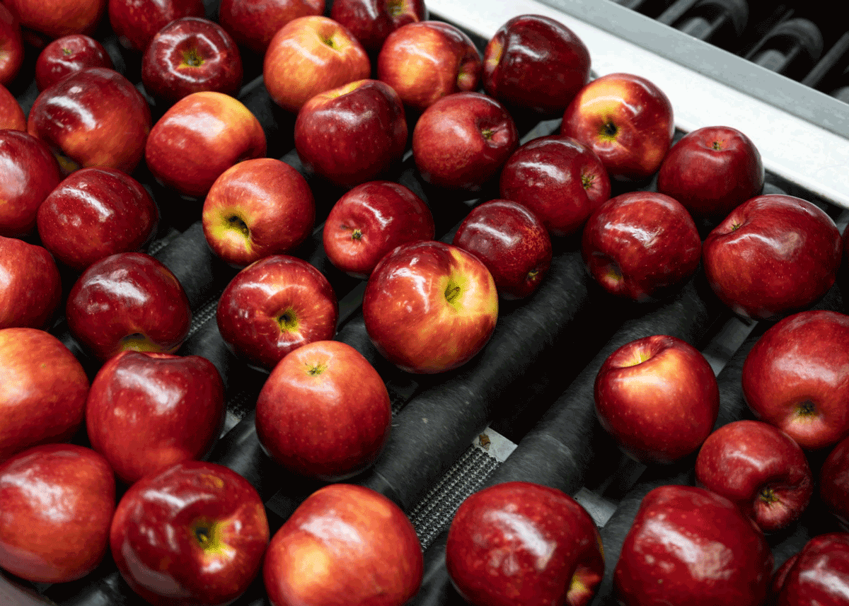 West-Coast-Produce-Expo-top-performers-Stemilt-Growers.png
