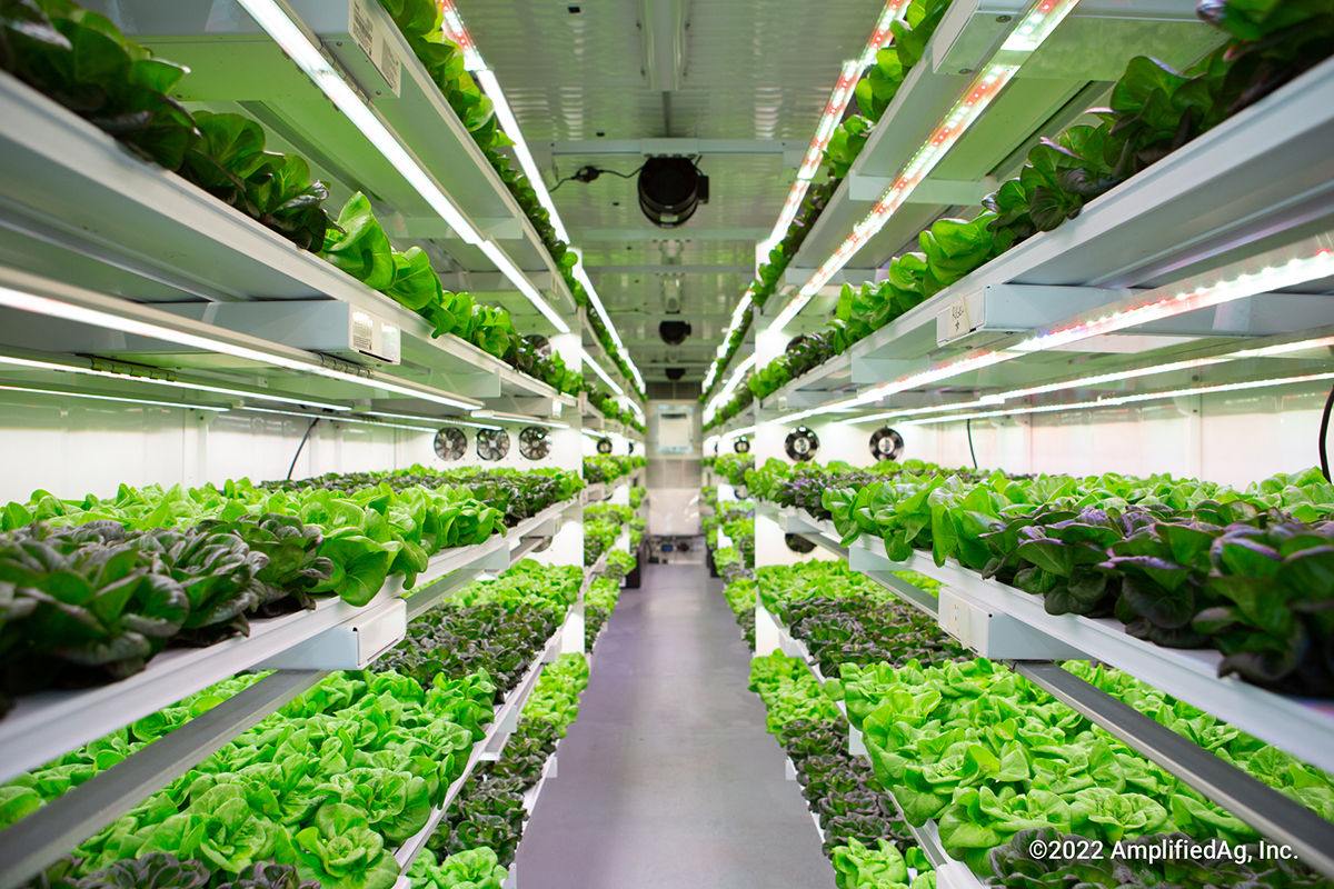 The Vertical Farms Changing the Face of Rehabilitation in South Carolina and California Prisons - Produce Market Guide