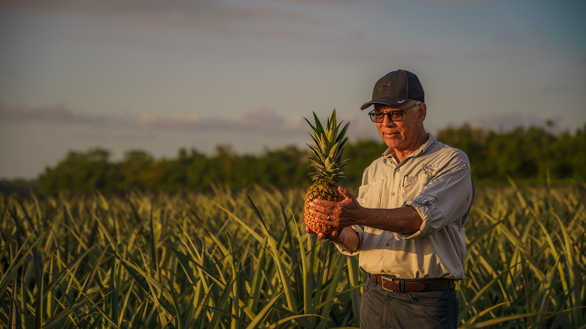 If You Like Piña Coladas ... Dole to Introduce ‘Game-Changing’ Pineapple at IFPA Global Show