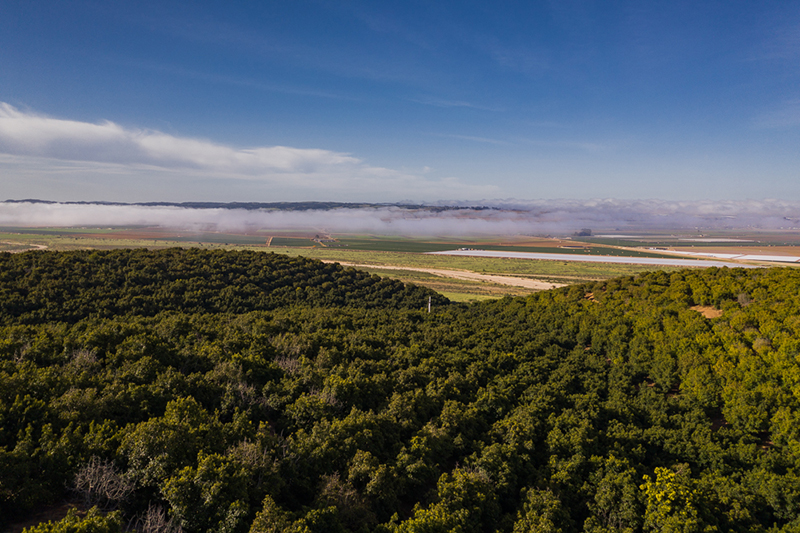 CA avo Mission EDIT DJI_0249.jpg