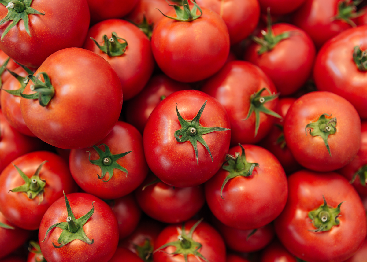 USITC Rejects Challenge to Mexican Tomato Antidumping Duties - Produce Market Guide