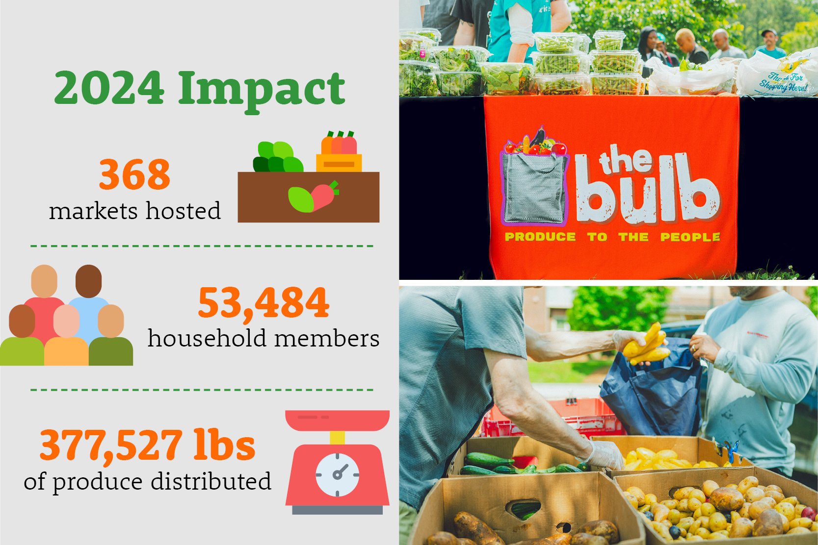 The Bulb Cultivates Community-Led Solutions to Food Insecurity in N.C.