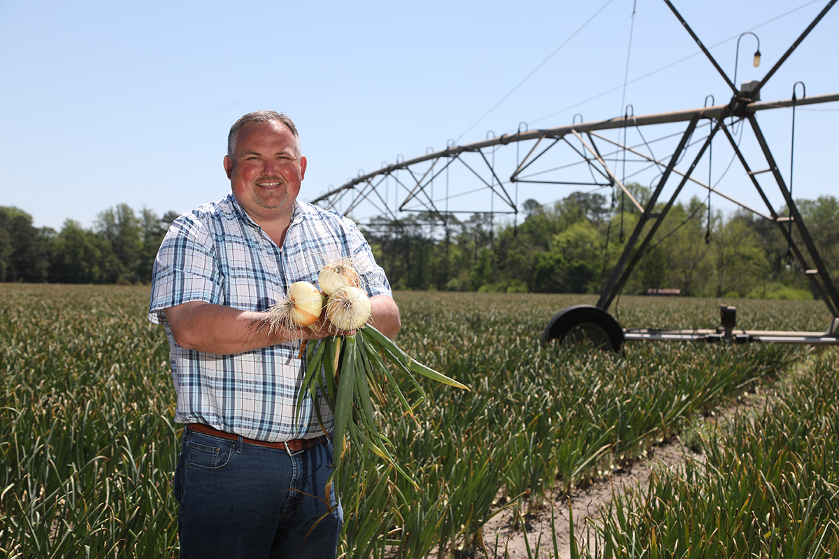 Sweetness Under Pressure: The Resilience of the 2026 Vidalia Onion Season - Produce Market Guide