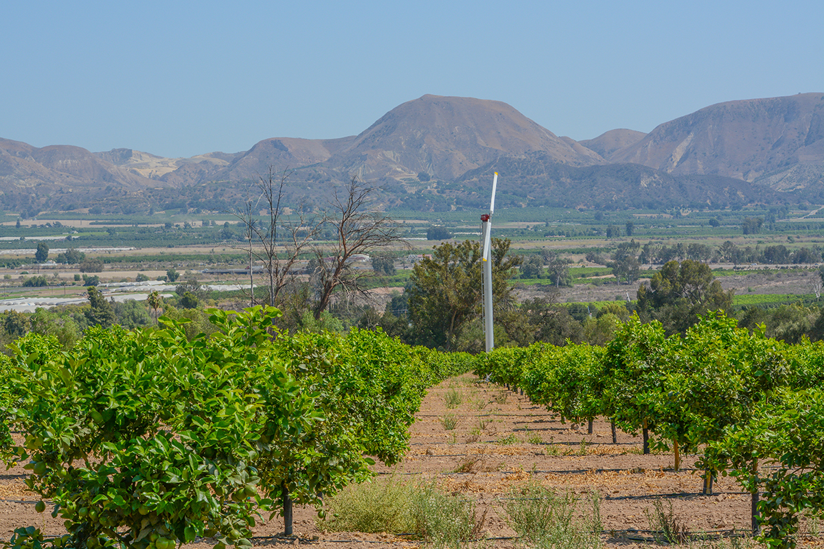 Why Patagonia Is Investing $1.55M in This California County’s Soil - Produce Market Guide