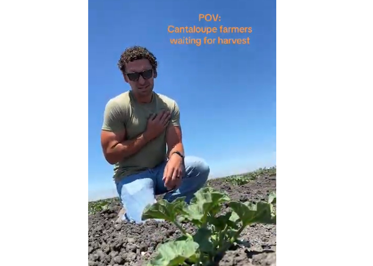 Cantaloupe Growers Target Gen Z With New Social Media Campaign