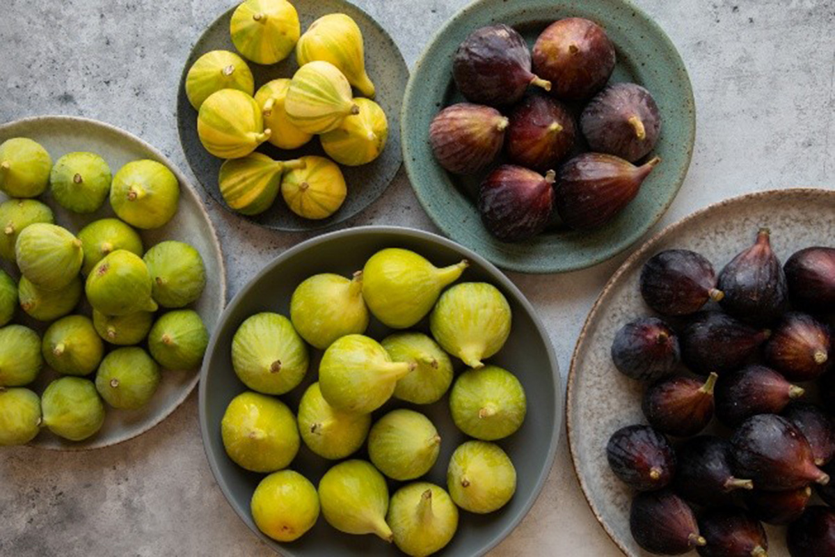 fresh fig varieties.jpg
