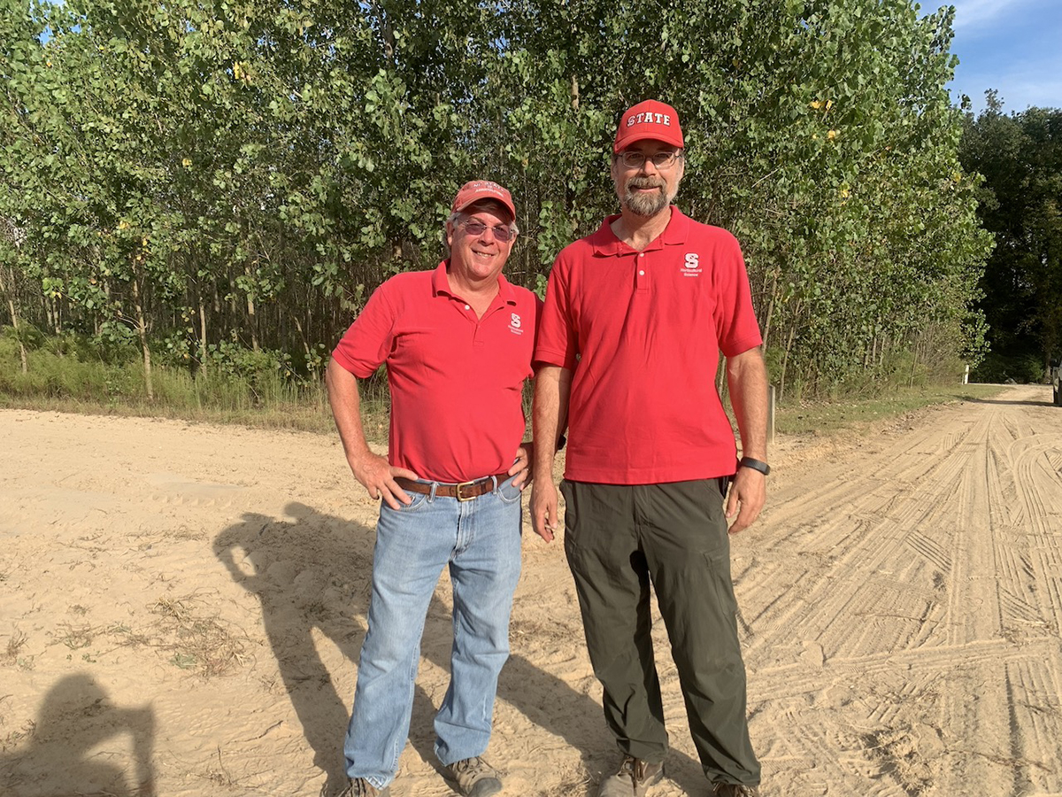 How AI and Breeding are Accelerating the Purple Sweetpotato Revolution - Produce Market Guide