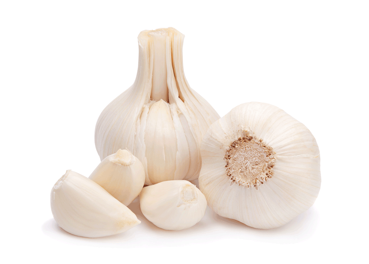 Robust Harvest and Steady Sales Signal a Healthy Garlic Season - Produce Market Guide