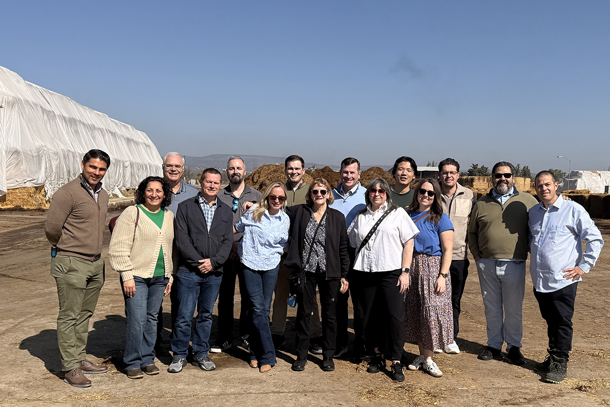 Mushroom Council Elects Board Members and New Officers - Produce Market Guide