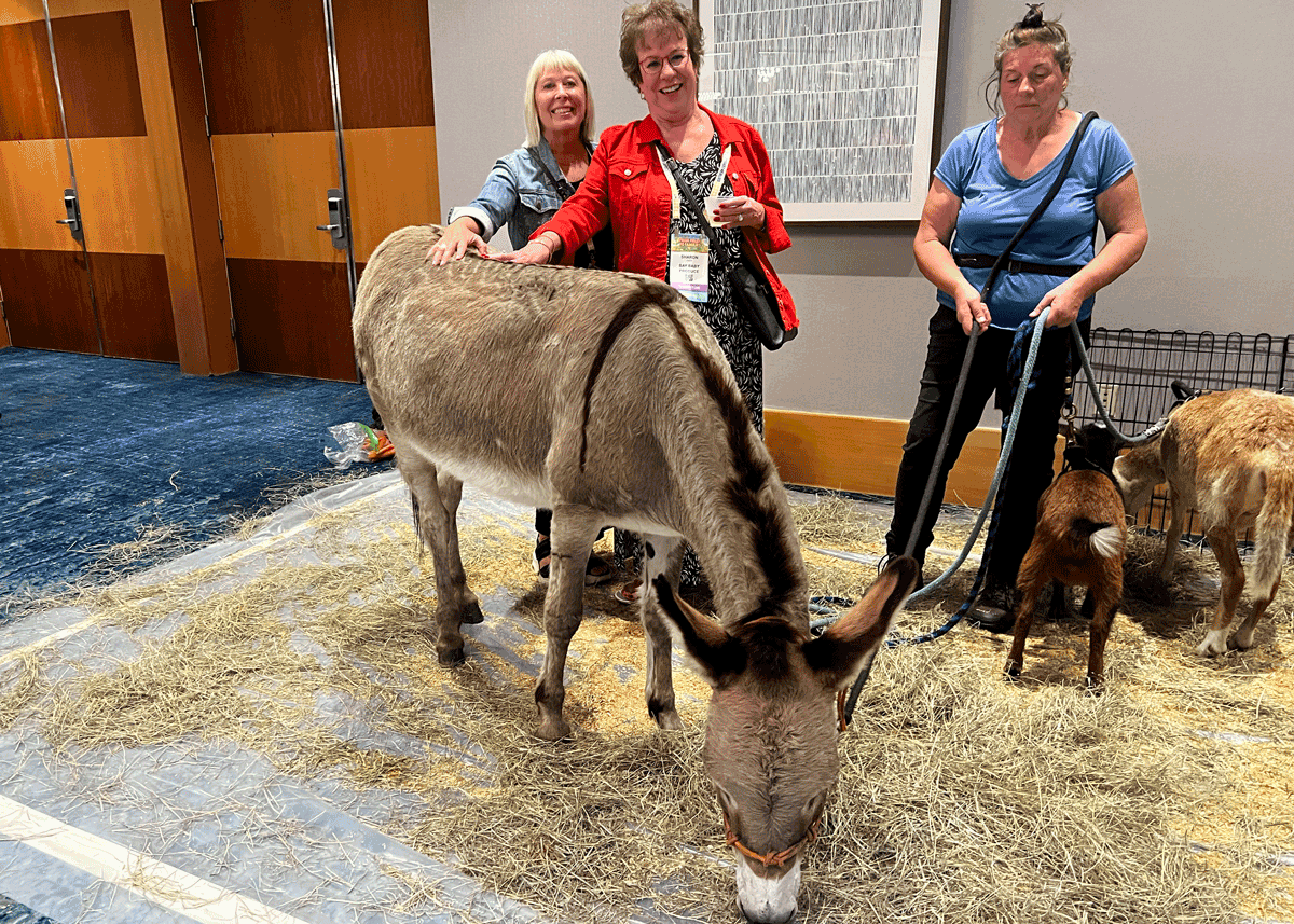 Weather and Innovation Take Center Stage at SEPC’s Southern Exposure - Produce Market Guide