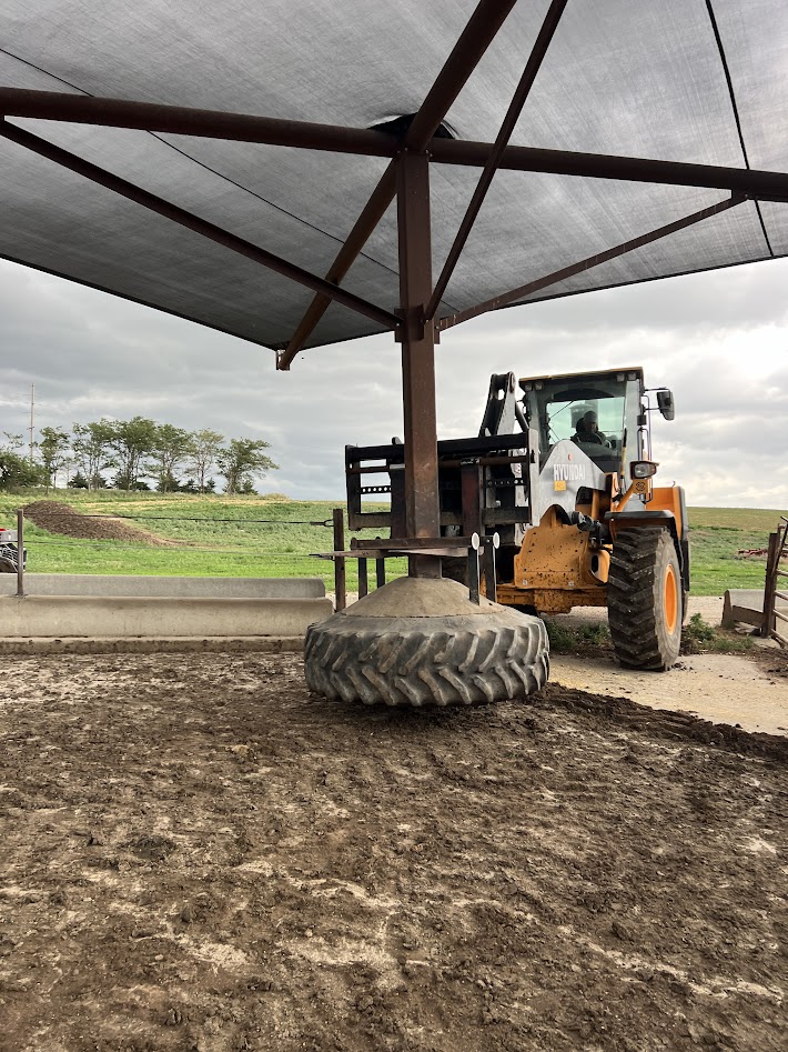 "Shade Trees" Keeping Cattle Cool in Nebraska Feedyard Drovers