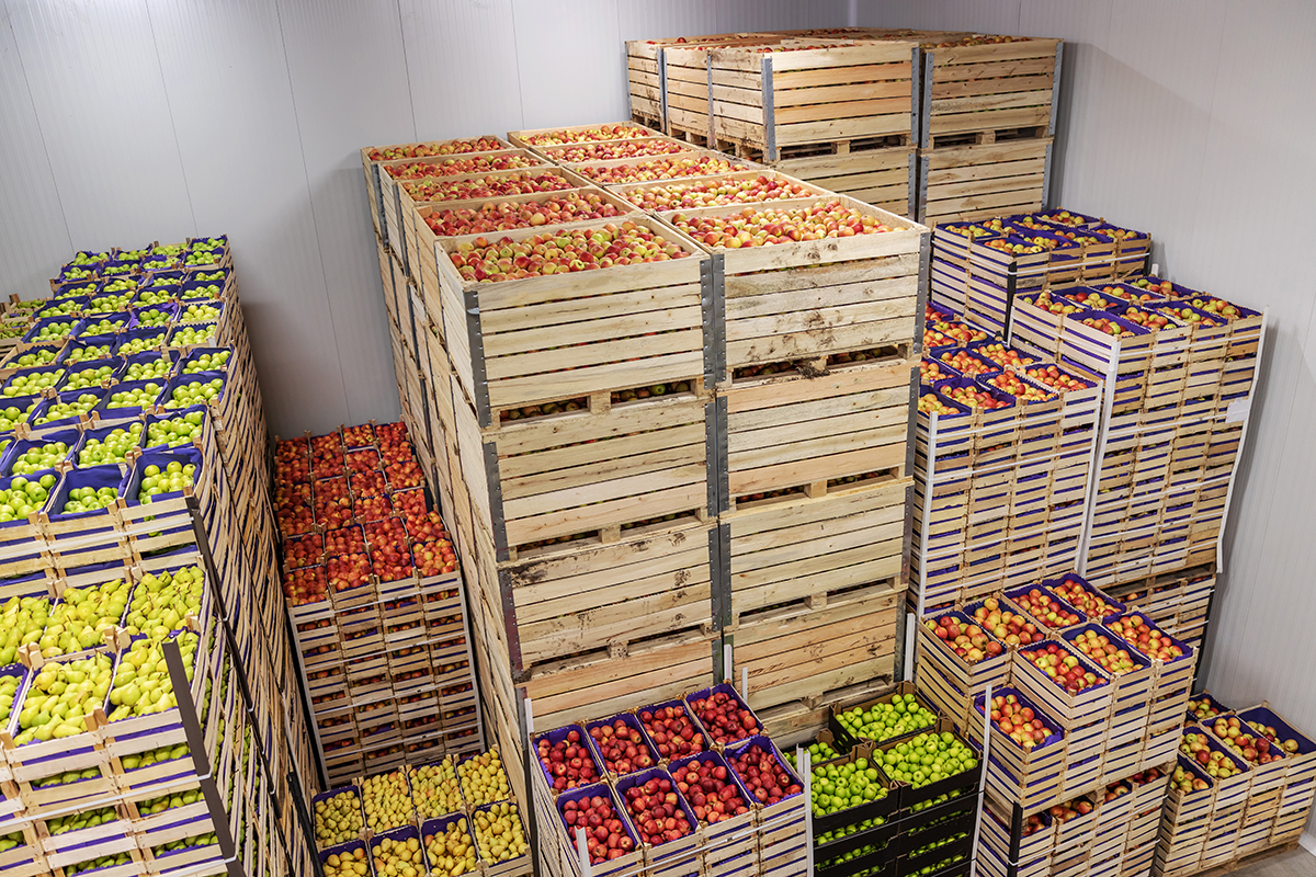 Fixing Fresh Produce’s Cold Chain Tracking Problem - Produce Market Guide