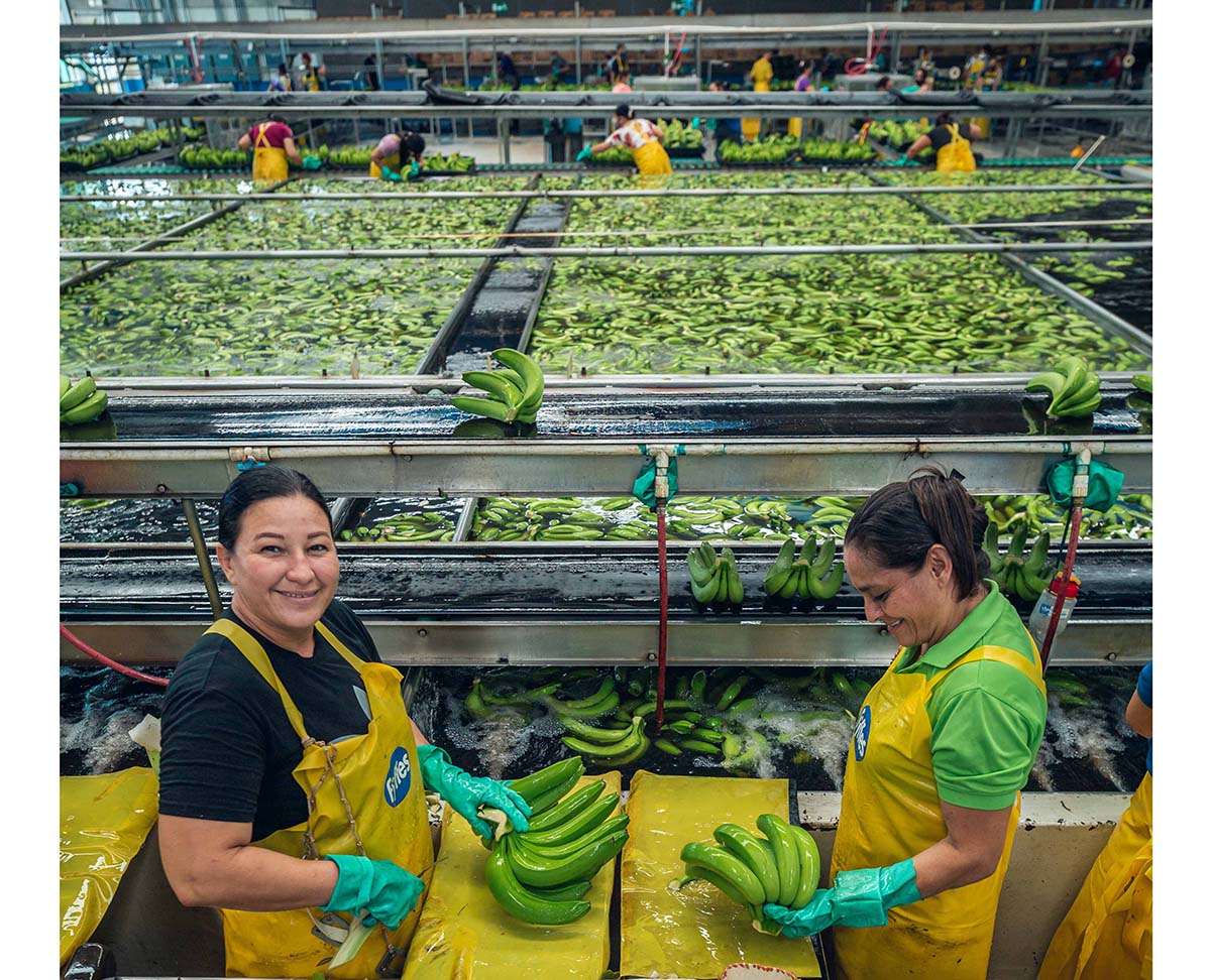 Fyffes Warns Banana Sector Must Evolve to Protect Long-Term Viability - Produce Market Guide