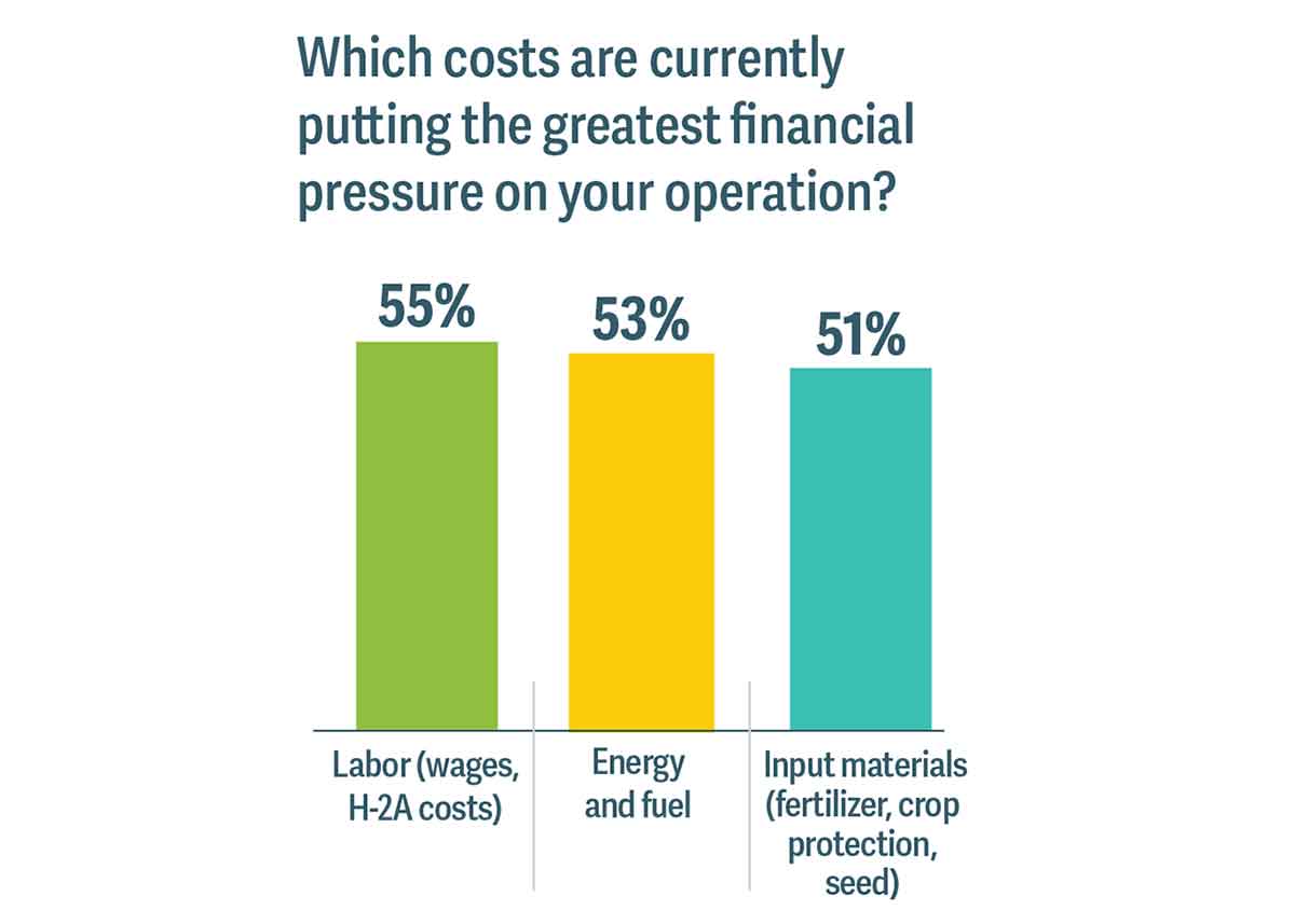 Graphic showing ag labor, energy and fuel and inputs are the greatest financial strain for specialty crop growers.