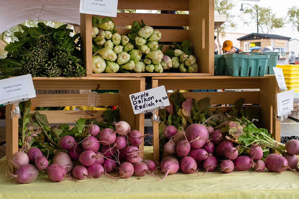 The Suburban Oasis Where Life Revolves Around the Harvest - Produce Market Guide