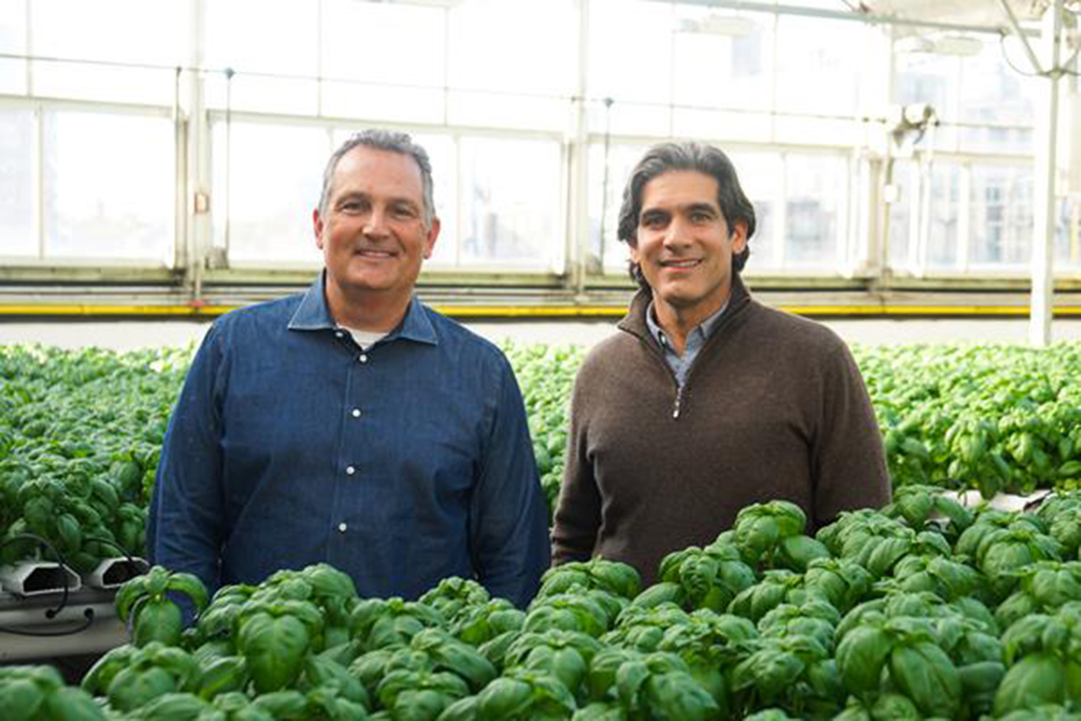 Gotham Greens Marks 15 Years With Strategic CEO Transition - Produce Market Guide