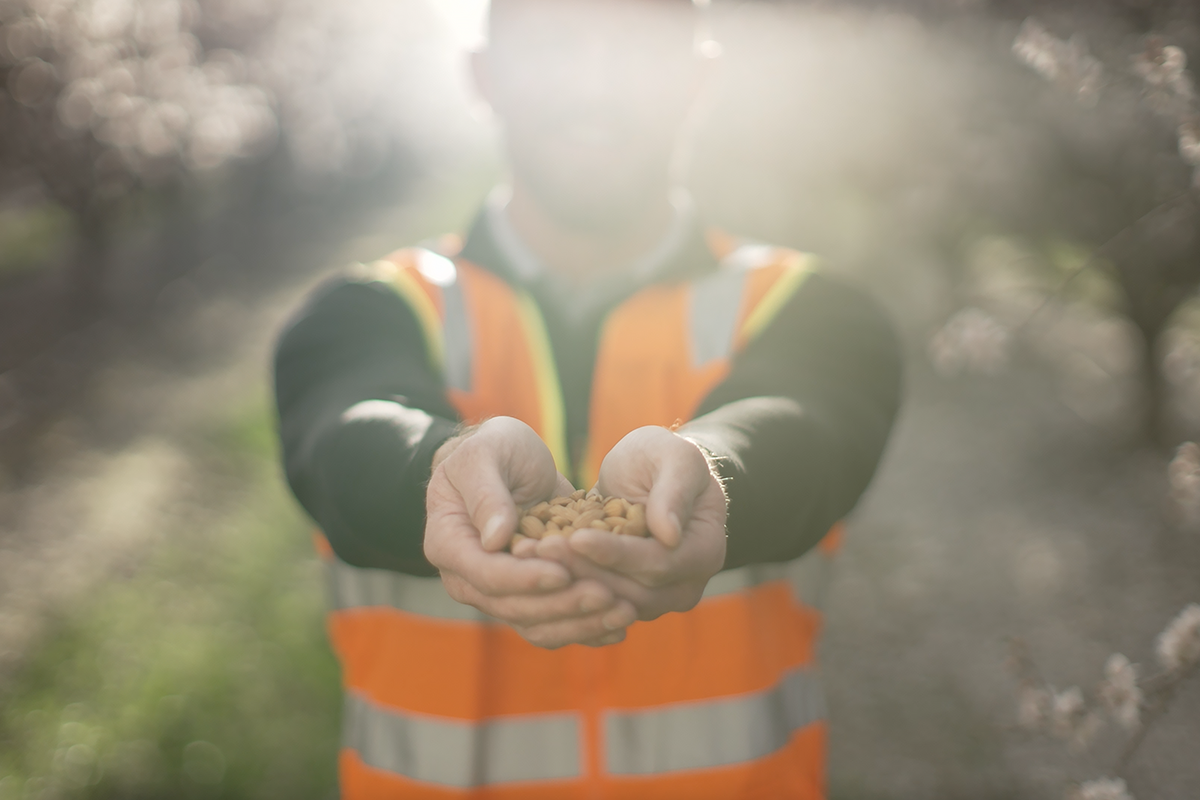 Kind Snacks Achieves Regenerative Agriculture Sourcing for Half of its Almond Supply Chain - Produce Market Guide