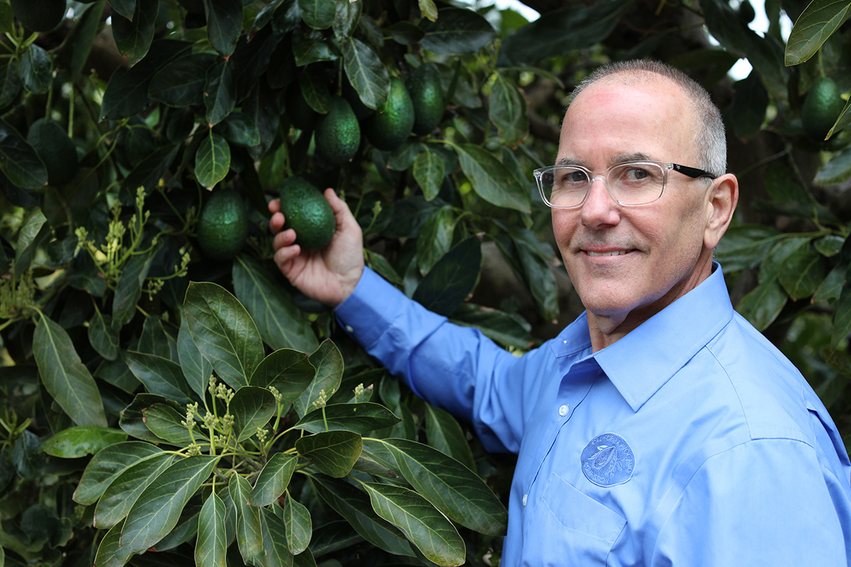 California Avocado Commission’s Terry Splane to Retire - Produce Market Guide