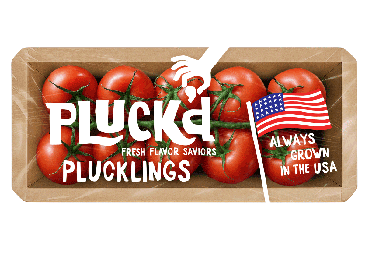 Why Pluck’d is Betting Big on Virginia-Grown Tomatoes to Close the Domestic Supply Gap - Produce Market Guide