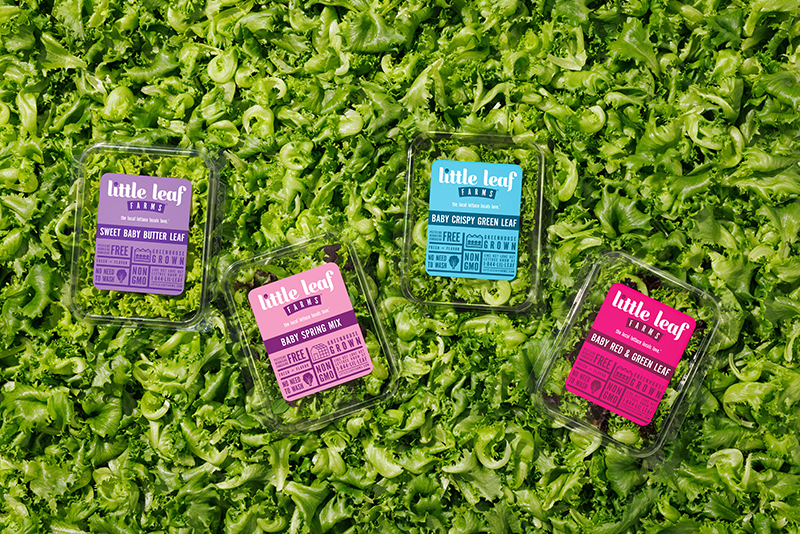 Little Leaf Produce Edit.jpg