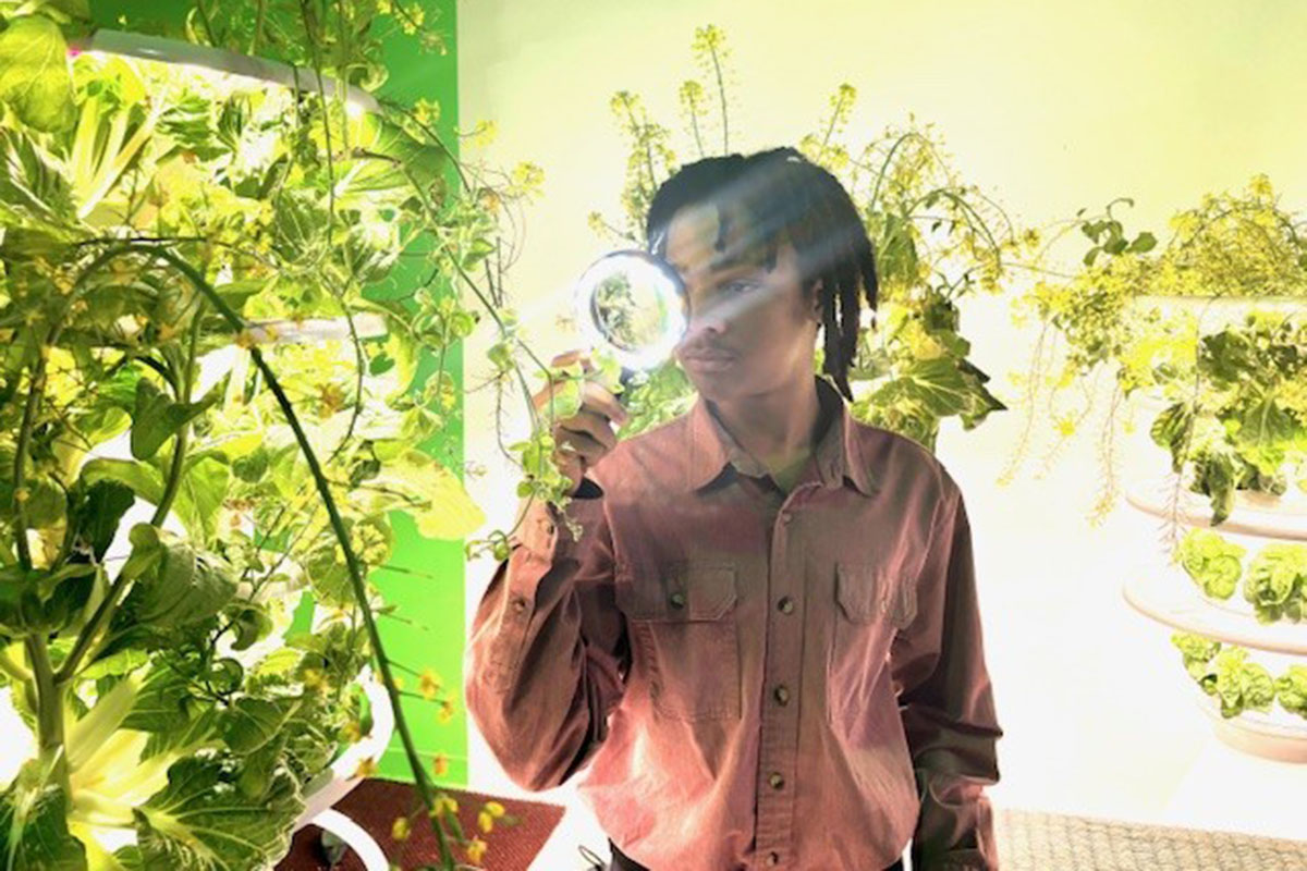 Inside the High-Tech Lab of Georgia’s Youngest Vertical Farmer - Produce Market Guide