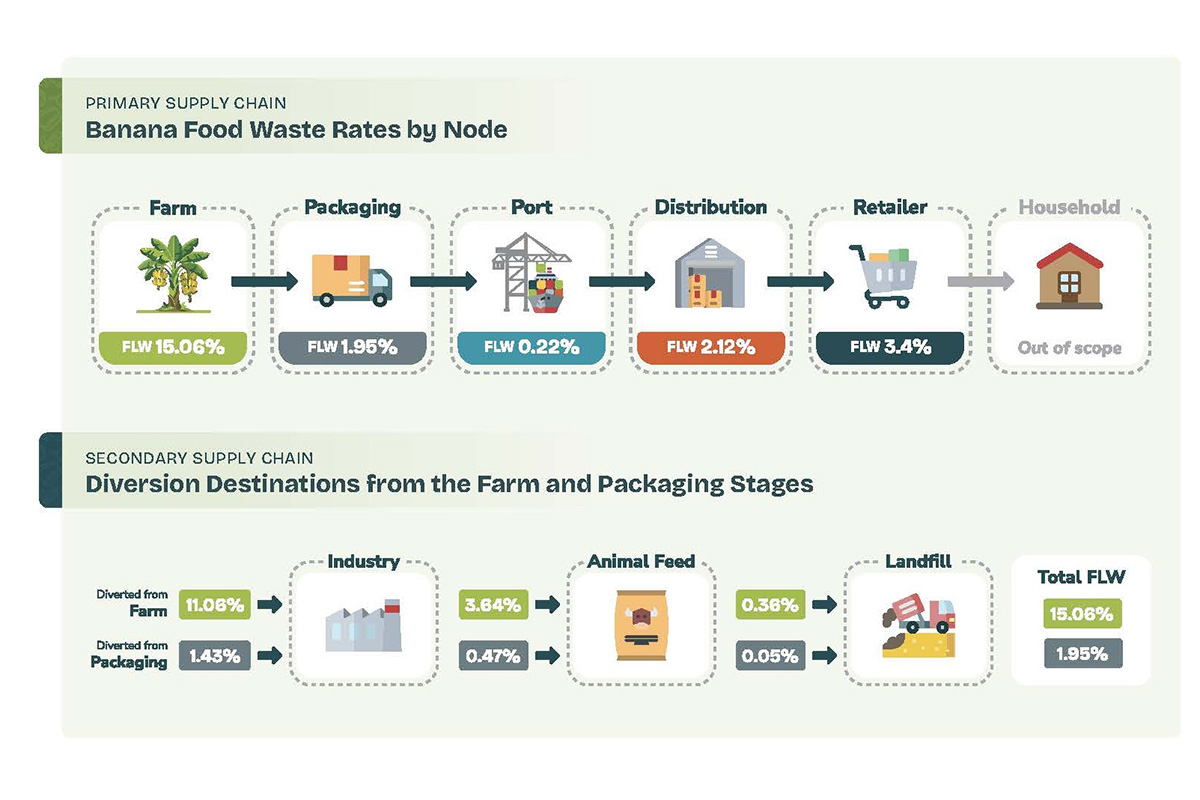 Rethinking the Banana Supply Chain from Farm to Shelf - Produce Market Guide