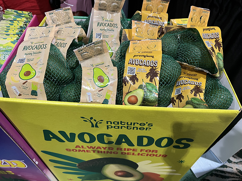 vivaGiumarra avo edit.jpg