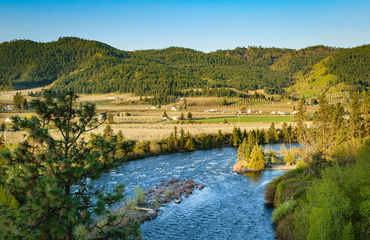 Pears on the Rebound this Season