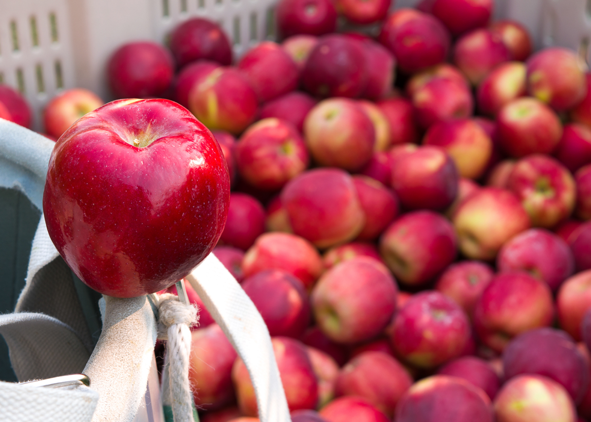 Stemilt Offers Merchandising Tips to Kick Off Apple Season