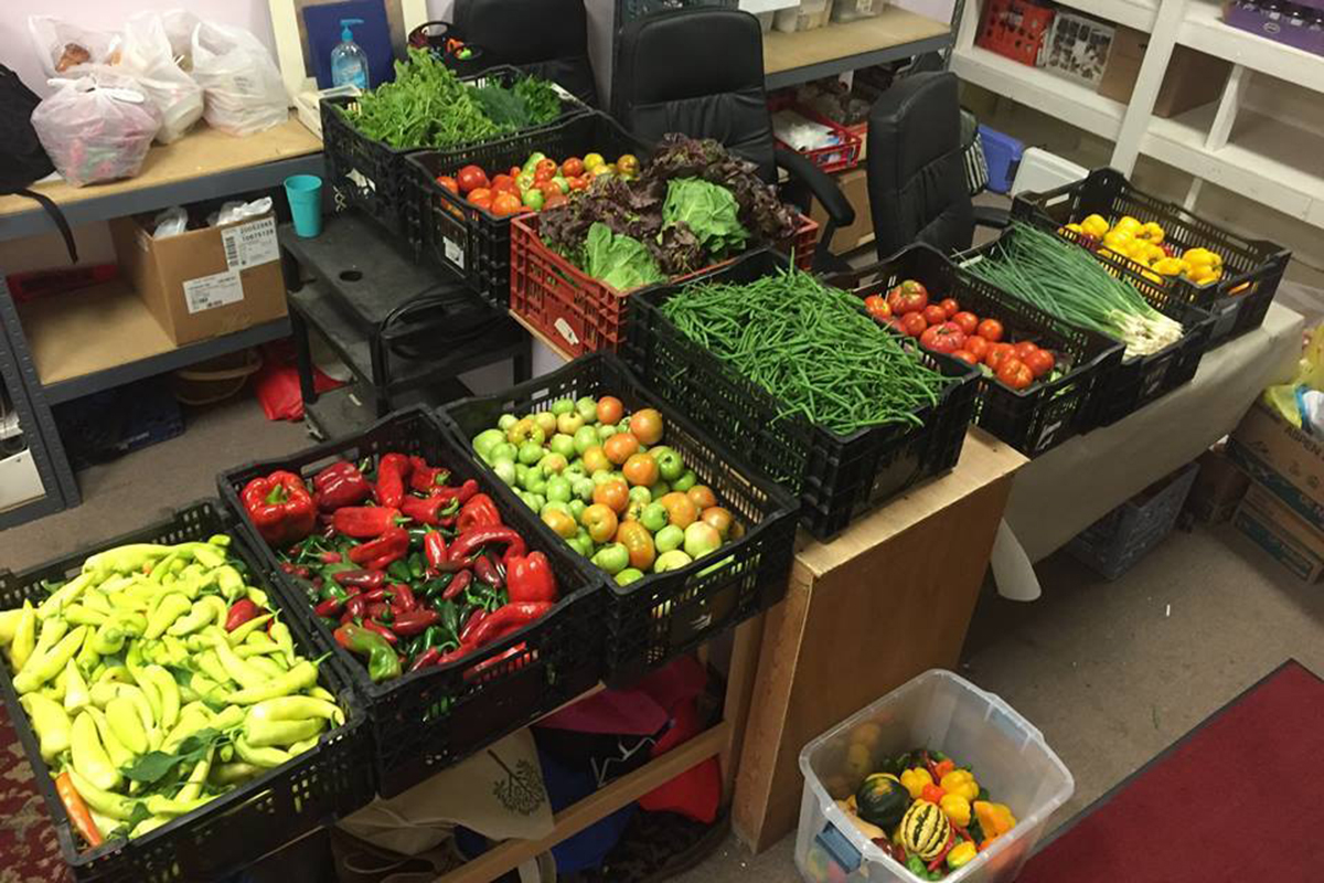 Too Many Tomatoes? How Home Gardeners Are Finding a Good Home for Surplus Produce - Produce Market Guide
