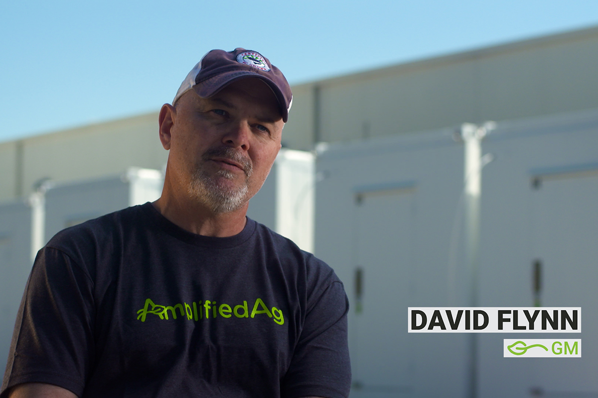 AmplifiedAg_CEO_David Flynn.jpg
