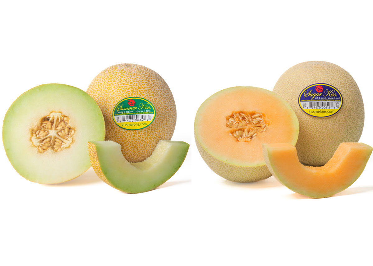 Legend Produce Targets Retail Growth With High-Brix Winter Melon Program - Produce Market Guide