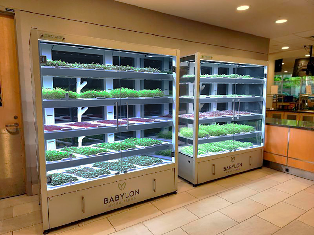 Are Micro-Farms the New Water Cooler? CEO Marc Oshima Makes a Compelling Case
