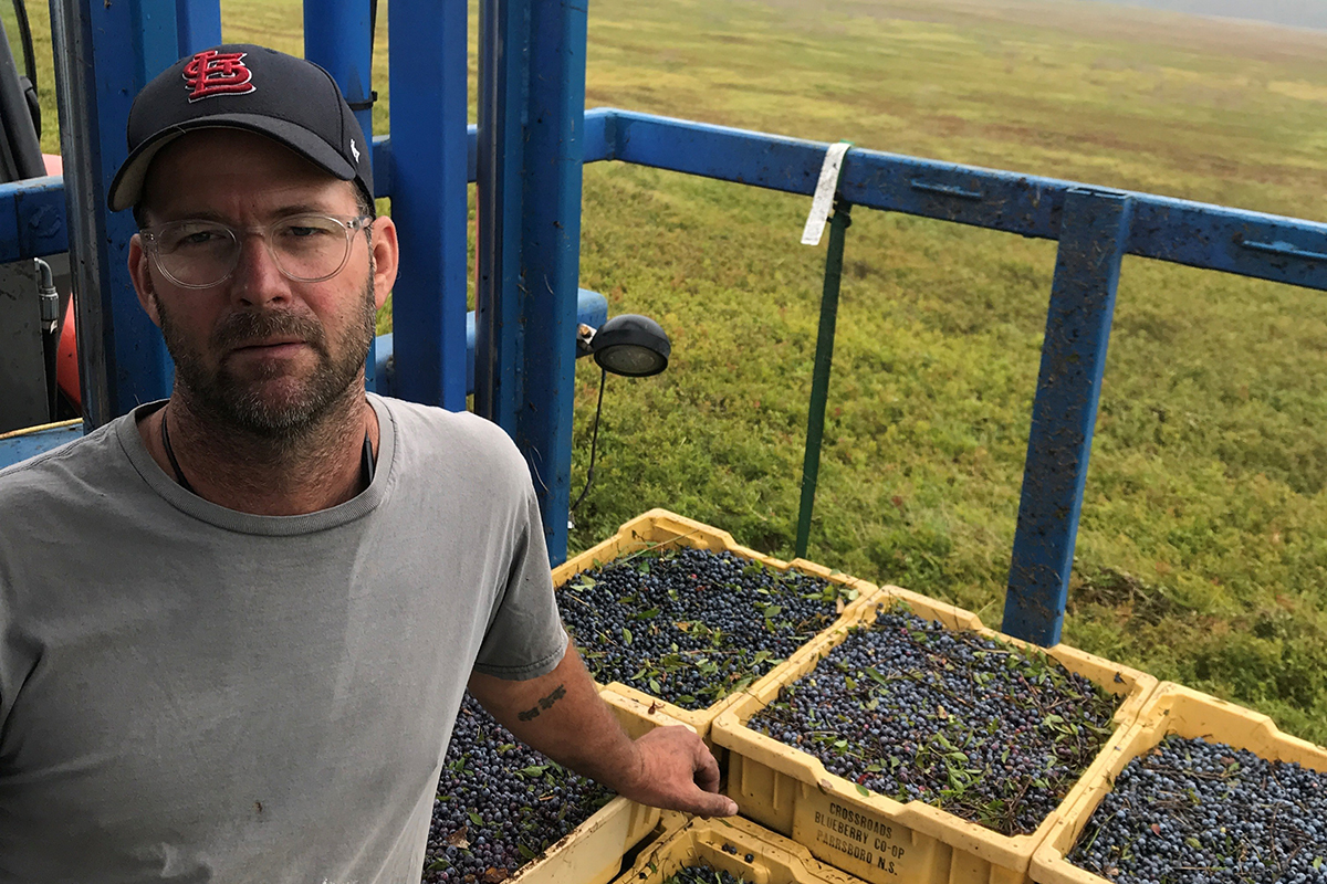 Wild, Regional, Irreplaceable: Why Maine’s Blueberries Are Worth Saving - Produce Market Guide